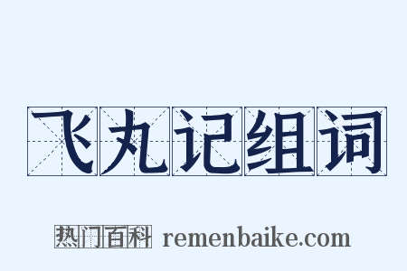 飞丸记组词是什么意思的图片